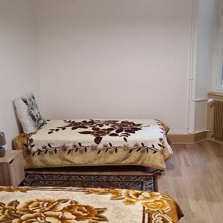 Grand 4P Strasbourg Orangerie 7 Personnes Proche D Allemagne Экстерьер фото