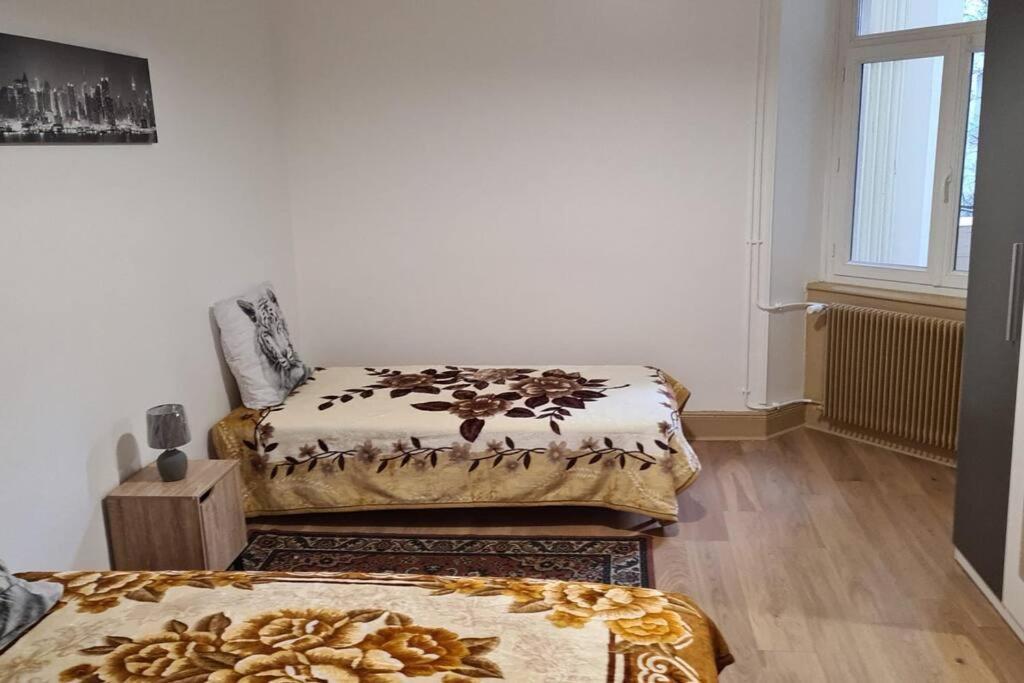 Grand 4P Strasbourg Orangerie 7 Personnes Proche D Allemagne Экстерьер фото