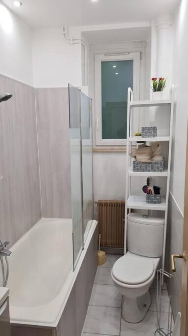 Grand 4P Strasbourg Orangerie 7 Personnes Proche D Allemagne Экстерьер фото